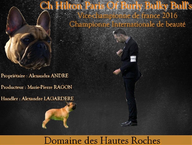 Du Domaine Des Hautes Roches - Paris devient officiellement Championne Internationale !!!!!
