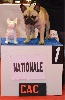  - Nationale d'elevage 2012 !!!
