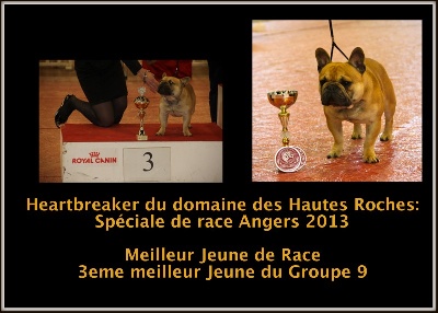 Du Domaine Des Hautes Roches - CACIB Angers Spéciale de race