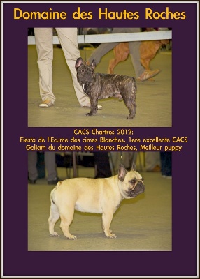 Du Domaine Des Hautes Roches - CACS Chartres