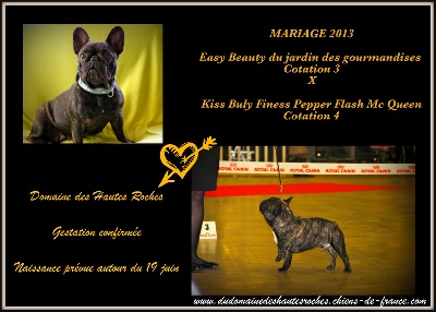 Du Domaine Des Hautes Roches - MARiAGE !!!!