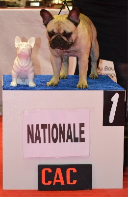 Du Domaine Des Hautes Roches - Nationale d'elevage 2012 !!!
