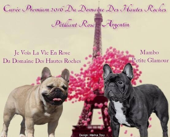 Du Domaine Des Hautes Roches - Carnet Rose