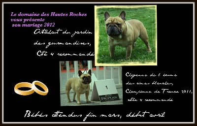 Du Domaine Des Hautes Roches - Mariage !!!!