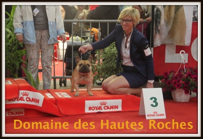 Du Domaine Des Hautes Roches - CACIB ST BRIEUC SPECIALE DE RACE