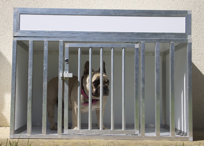 Mobilier canin