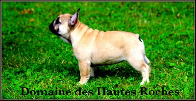 Du Domaine Des Hautes Roches